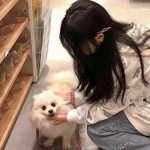 steampro超级蒸汽app下载